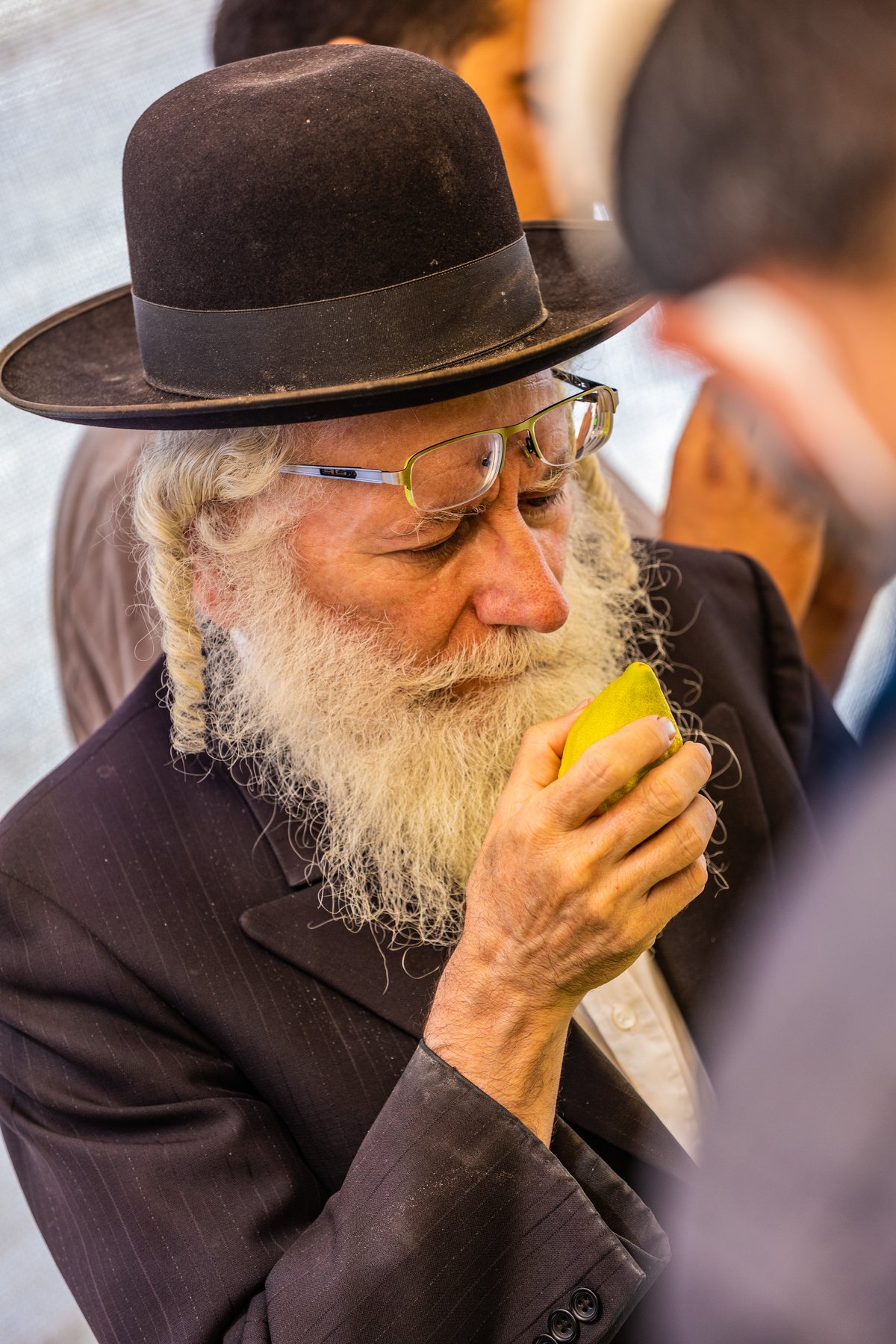 גלריה צבעונית משוק ארבעת המינים • צפו