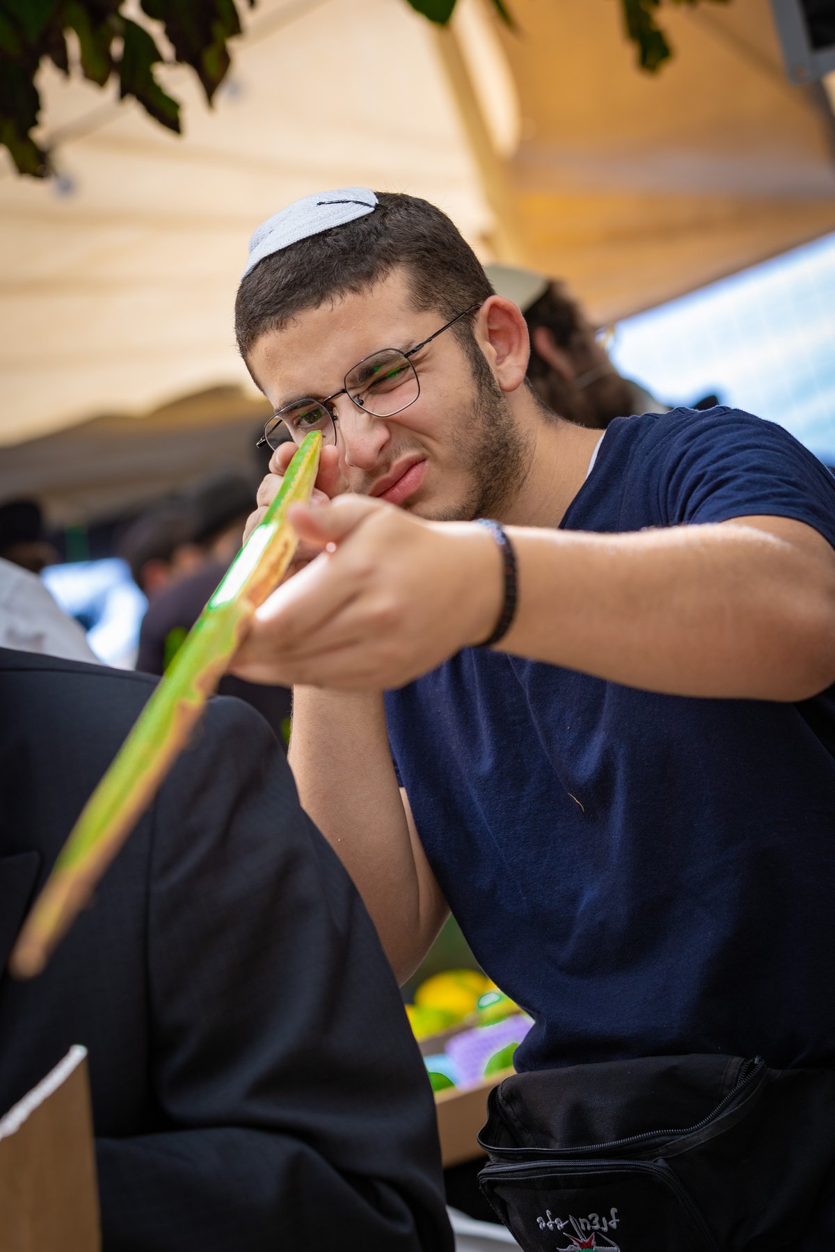 גלריה צבעונית משוק ארבעת המינים • צפו