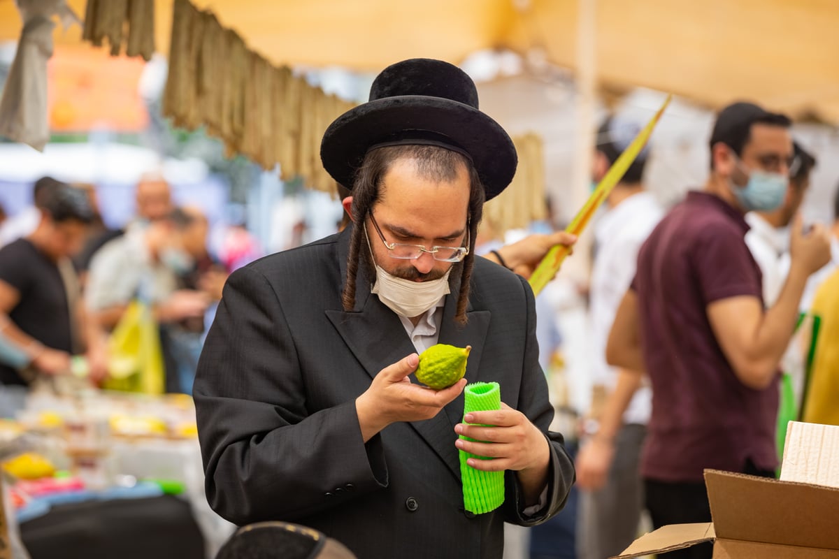 גלריה צבעונית משוק ארבעת המינים • צפו