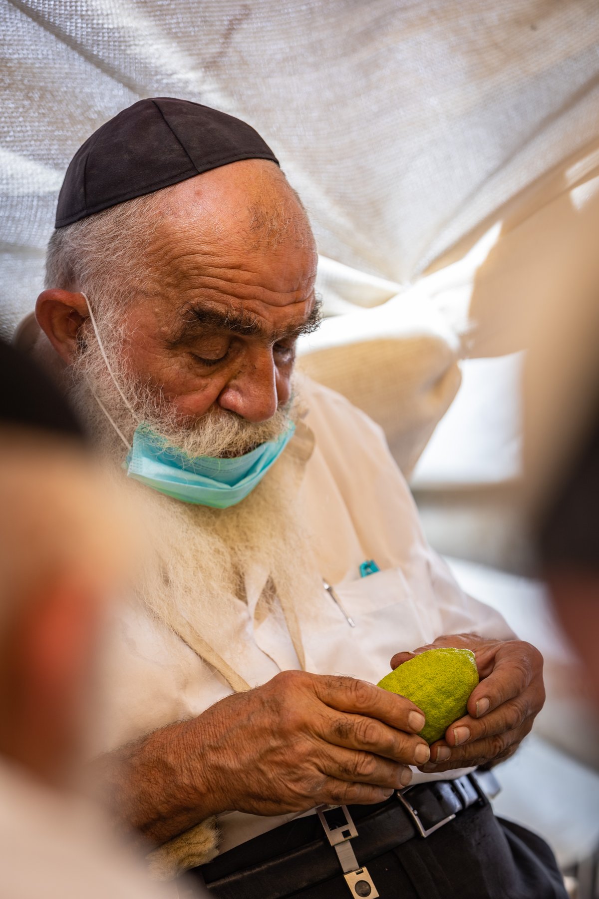 גלריה צבעונית משוק ארבעת המינים • צפו