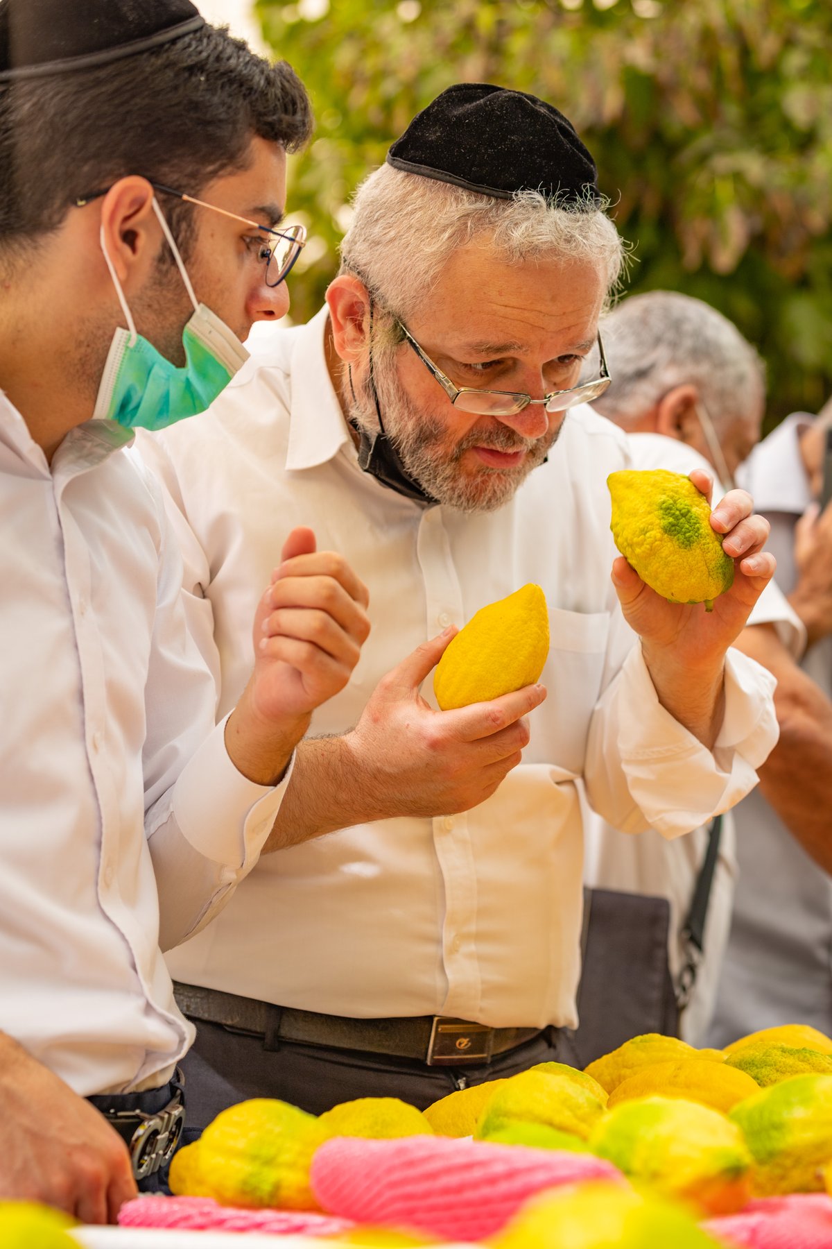 גלריה צבעונית משוק ארבעת המינים • צפו