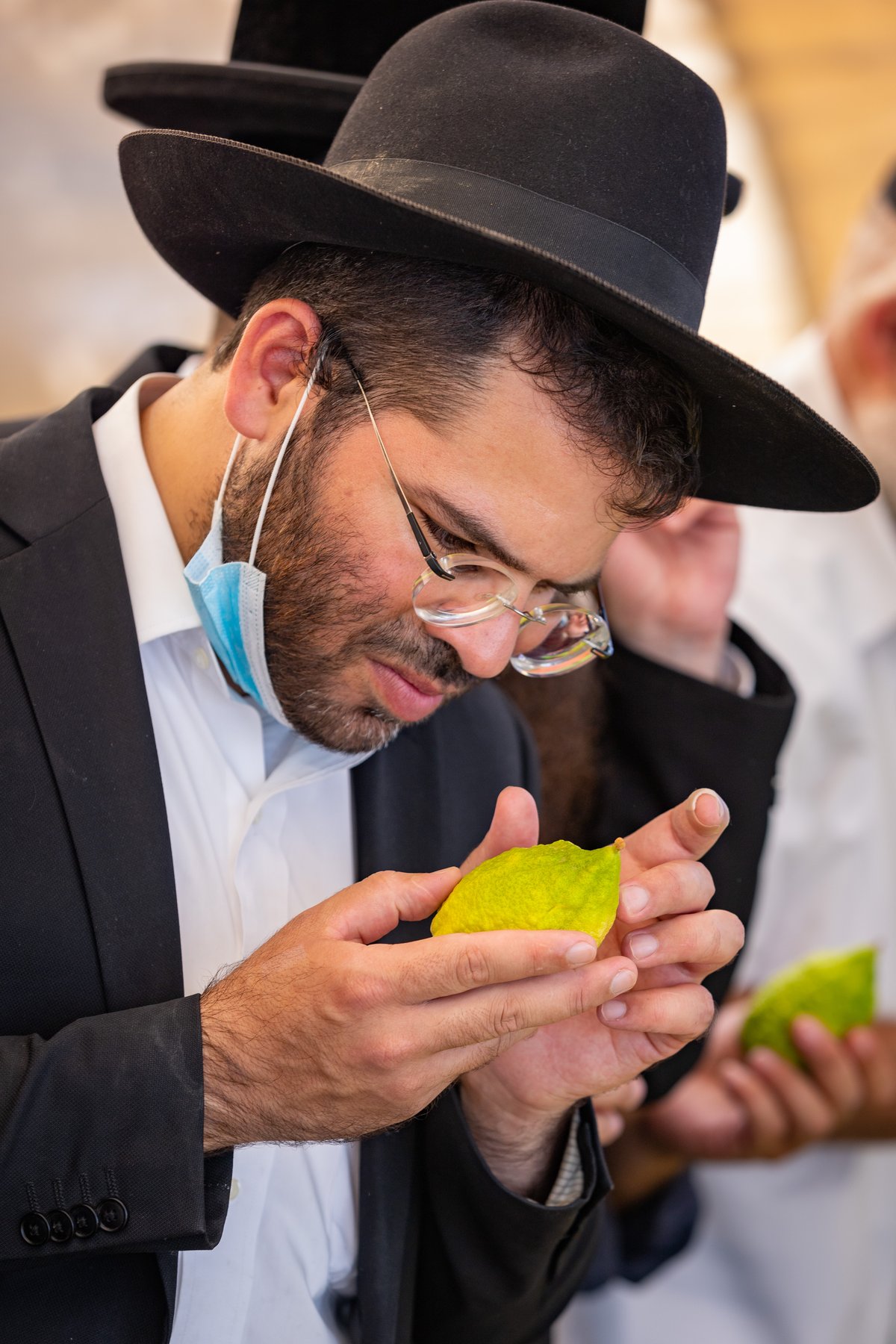 גלריה צבעונית משוק ארבעת המינים • צפו