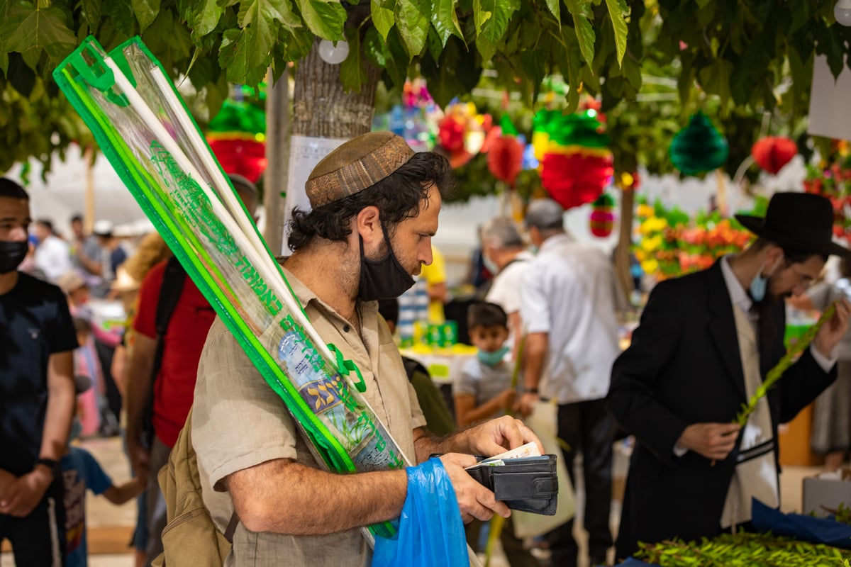 גלריה צבעונית משוק ארבעת המינים • צפו