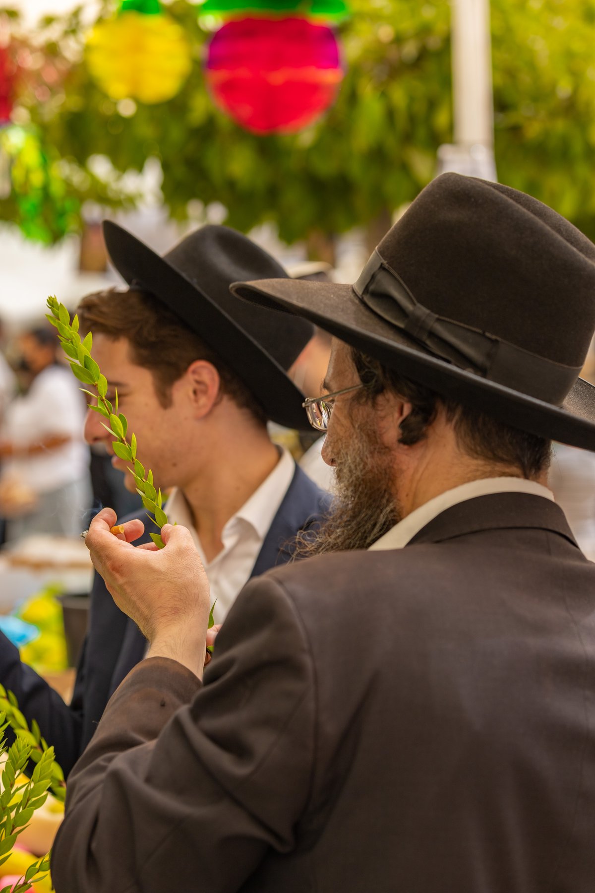 גלריה צבעונית משוק ארבעת המינים • צפו