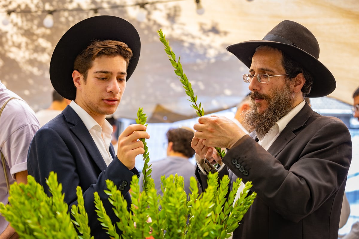 גלריה צבעונית משוק ארבעת המינים • צפו