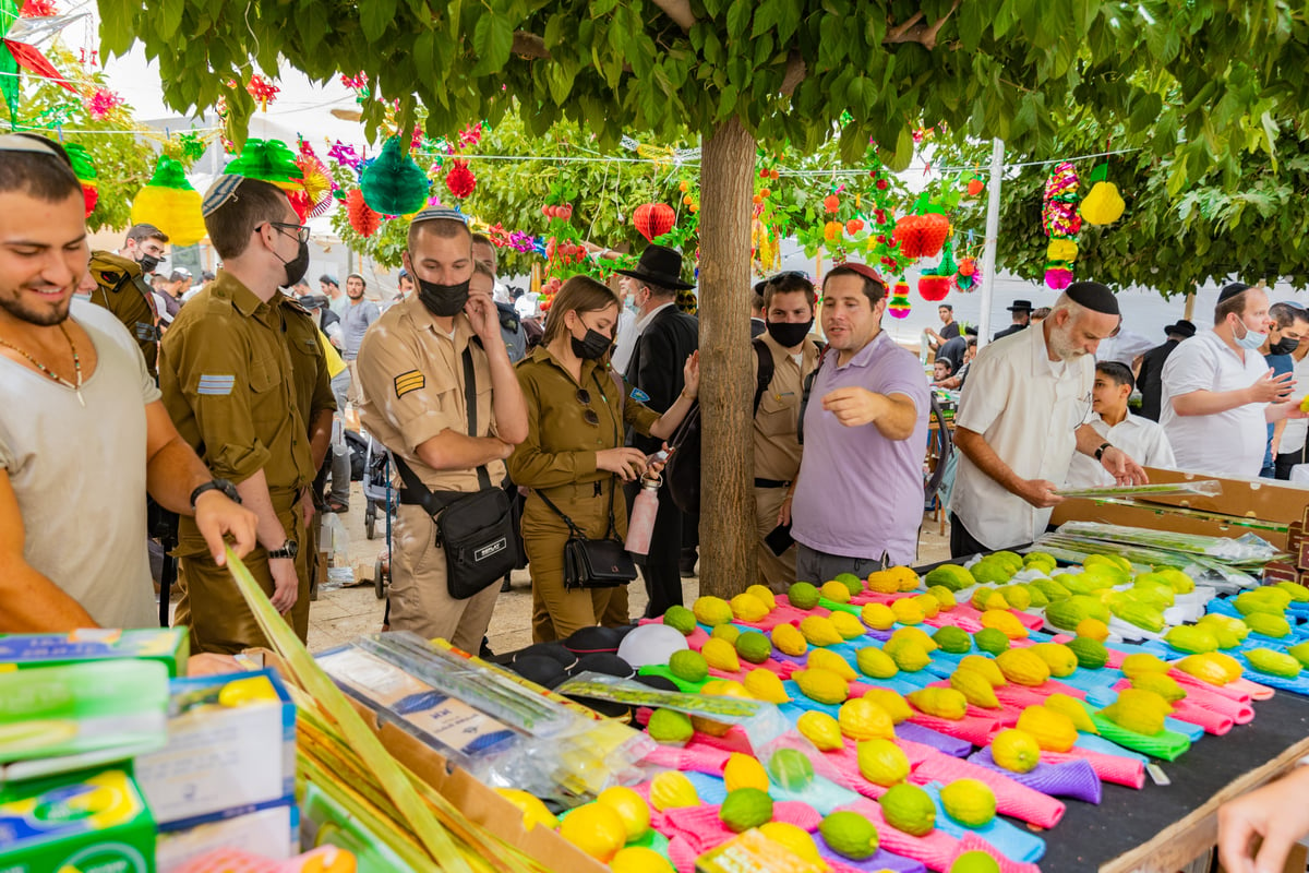 גלריה צבעונית משוק ארבעת המינים • צפו