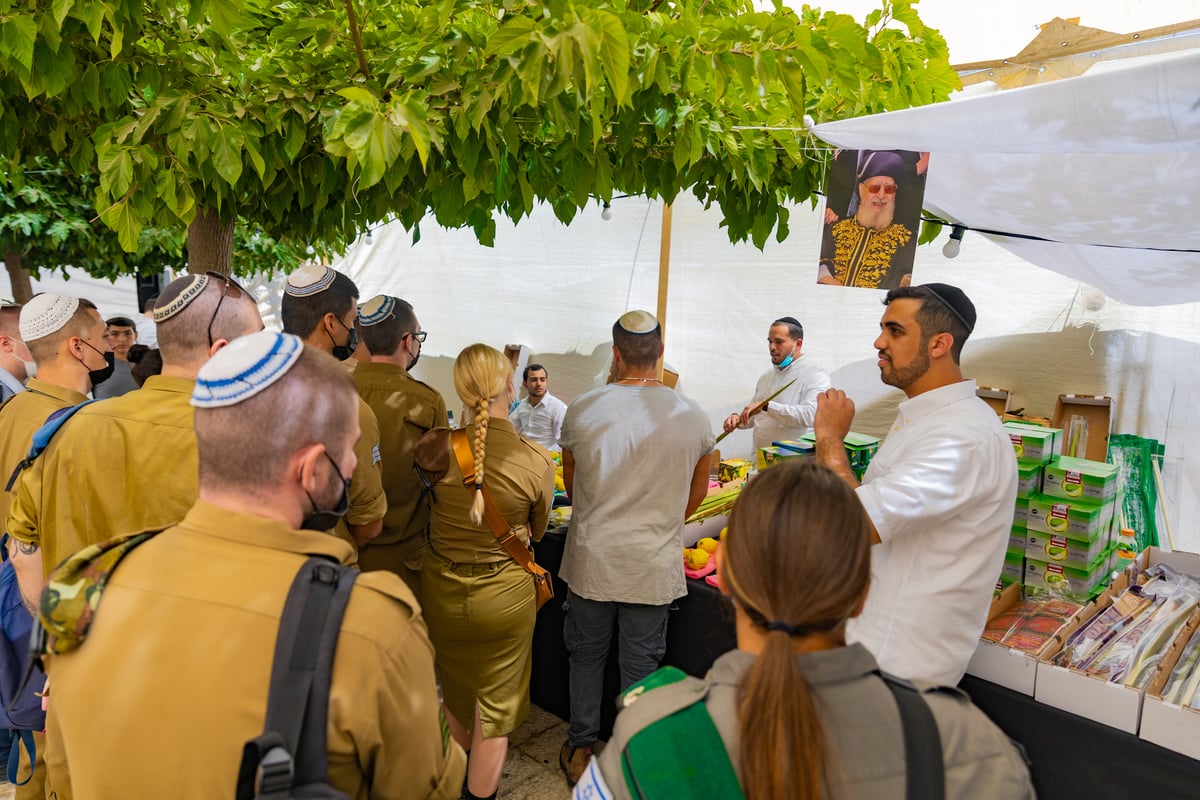 גלריה צבעונית משוק ארבעת המינים • צפו