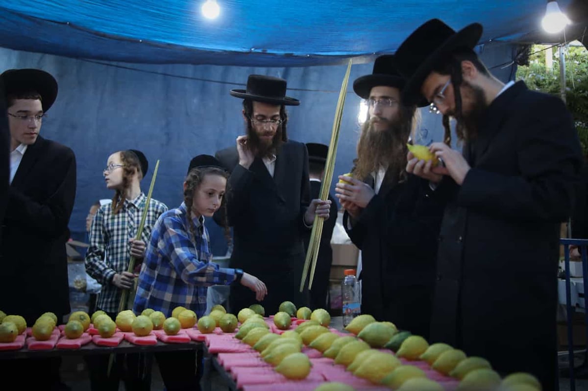 אתרוגים, סוכות ושירים • ערב חג במאה שערים