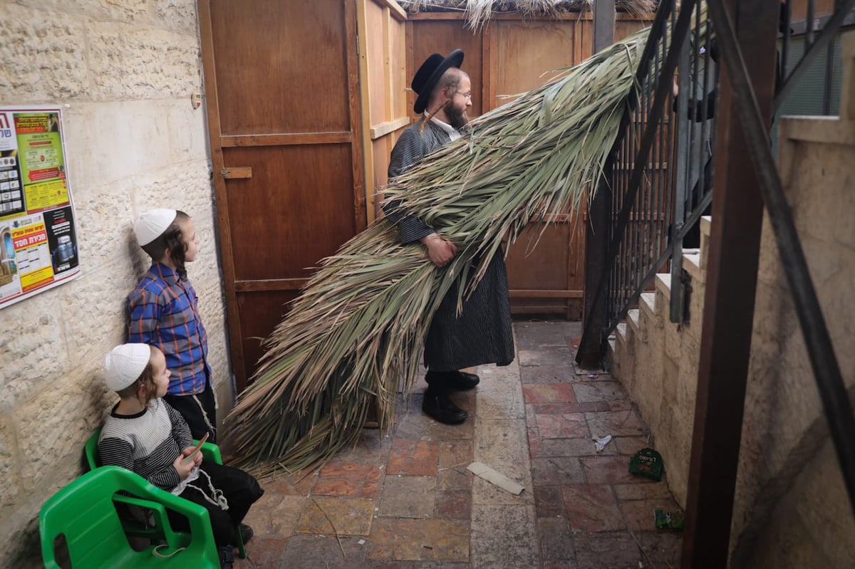 אתרוגים, סוכות ושירים • ערב חג במאה שערים