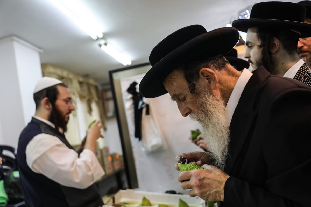 אתרוגים, סוכות ושירים • ערב חג במאה שערים