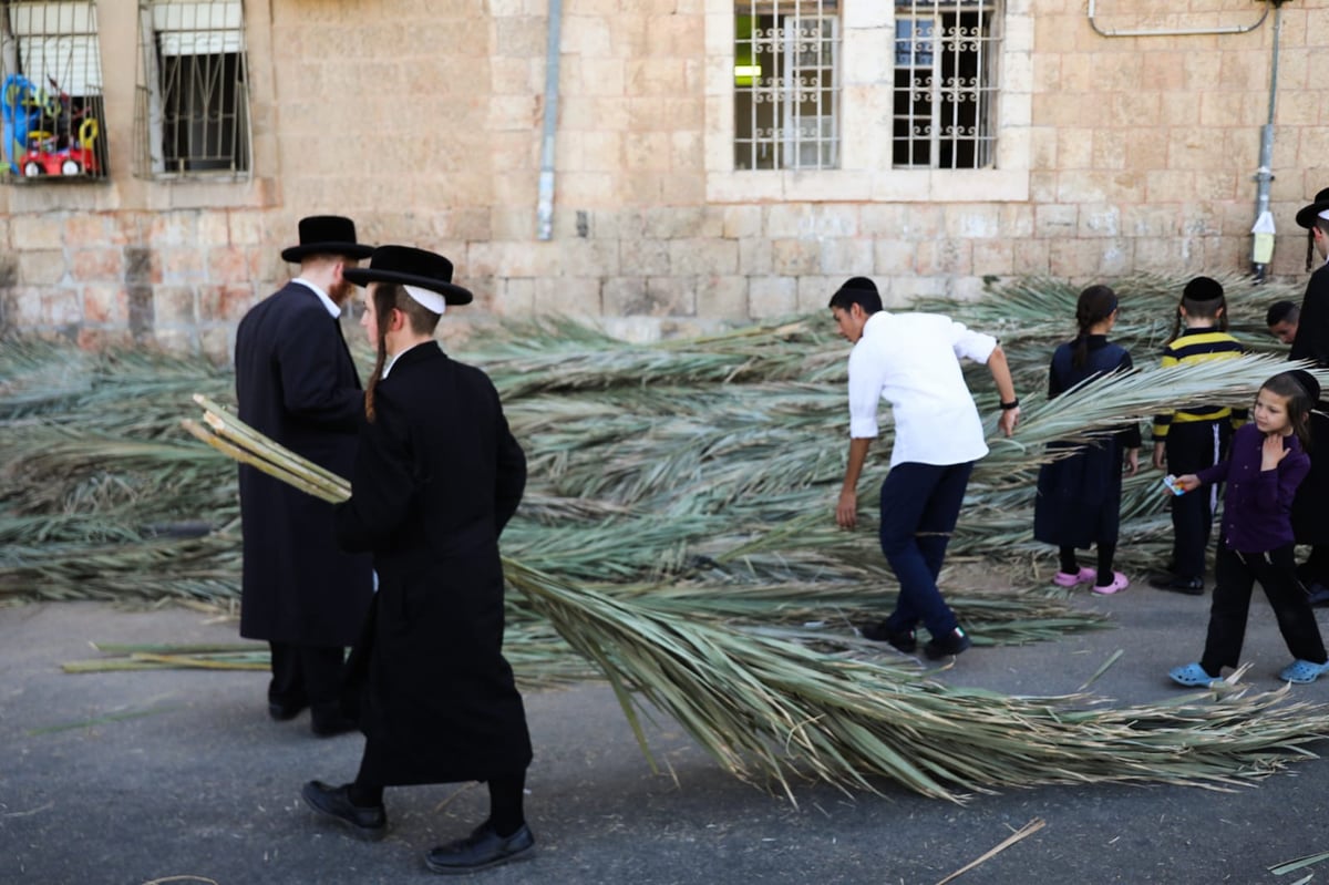 כך קונים סכך לסוכה במאה שערים • גלריה