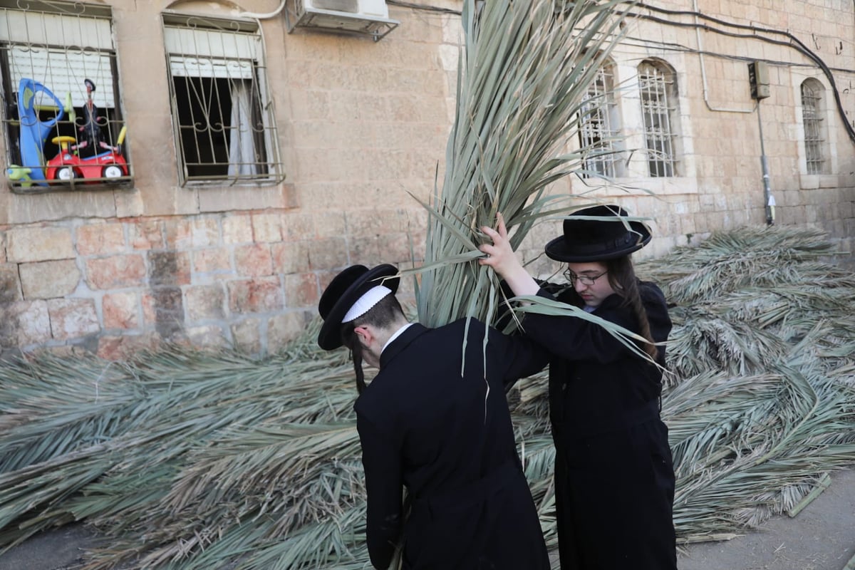 כך קונים סכך לסוכה במאה שערים • גלריה