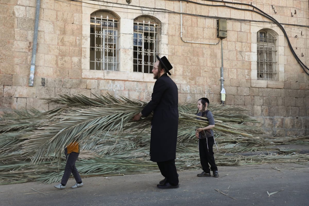 כך קונים סכך לסוכה במאה שערים • גלריה