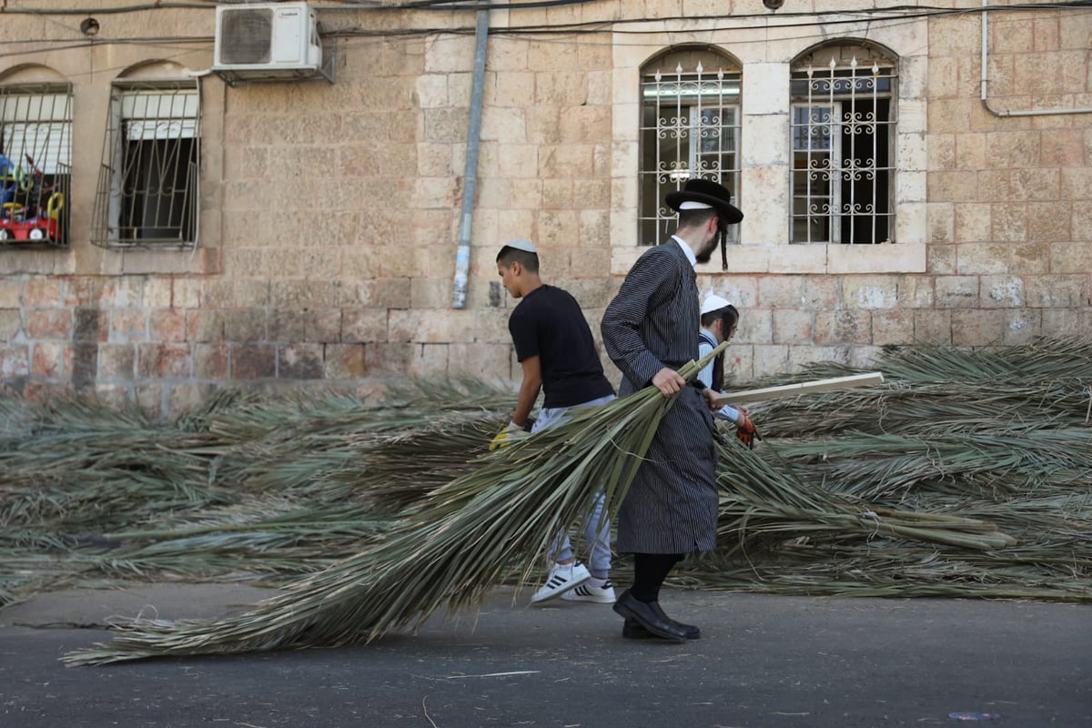 כך קונים סכך לסוכה במאה שערים • גלריה