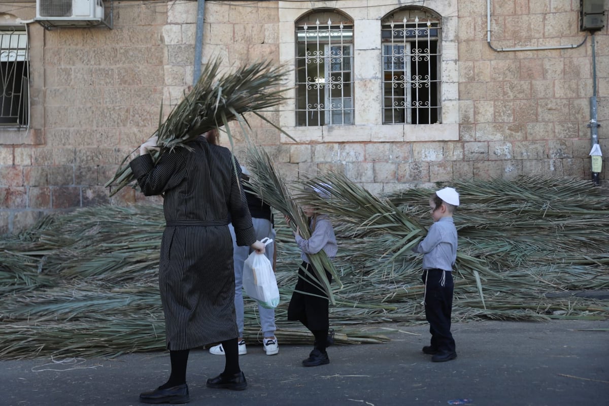 כך קונים סכך לסוכה במאה שערים • גלריה