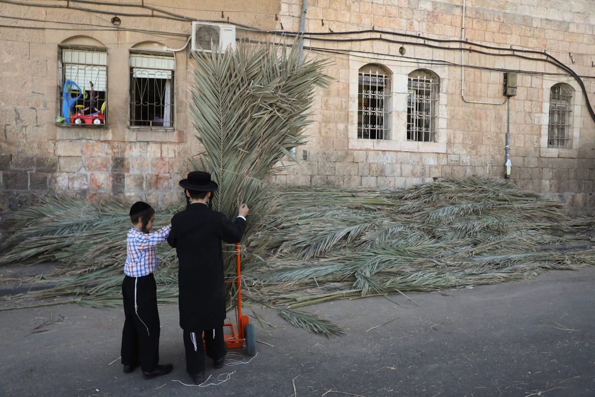 כך קונים סכך לסוכה במאה שערים • גלריה