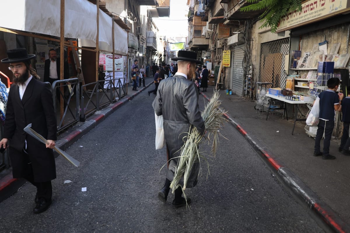 כך קונים סכך לסוכה במאה שערים • גלריה