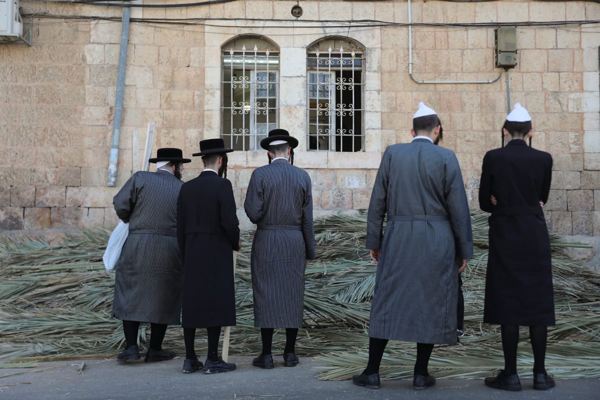 כך קונים סכך לסוכה במאה שערים • גלריה