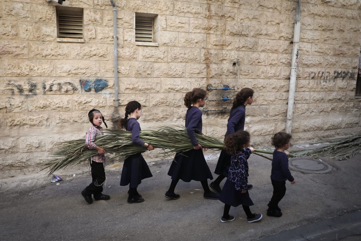 כך קונים סכך לסוכה במאה שערים • גלריה