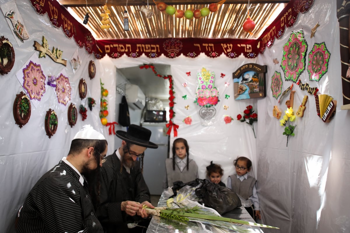 משפחה אחת, ארבעה מינים; צפו באגידת הלולב