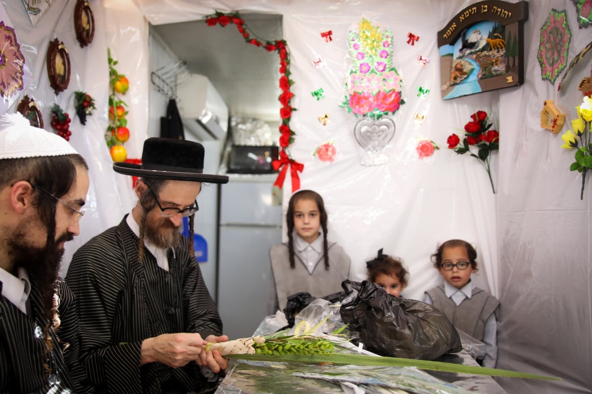 משפחה אחת, ארבעה מינים; צפו באגידת הלולב