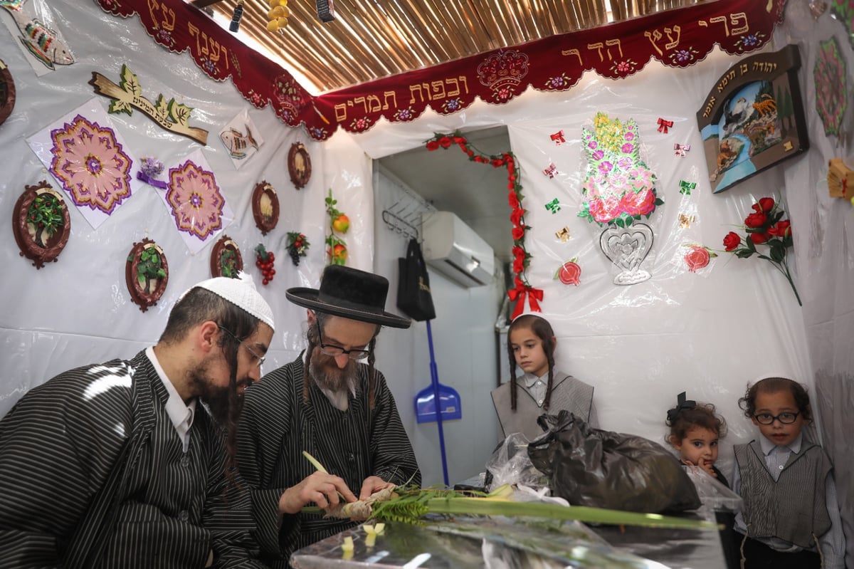 משפחה אחת, ארבעה מינים; צפו באגידת הלולב