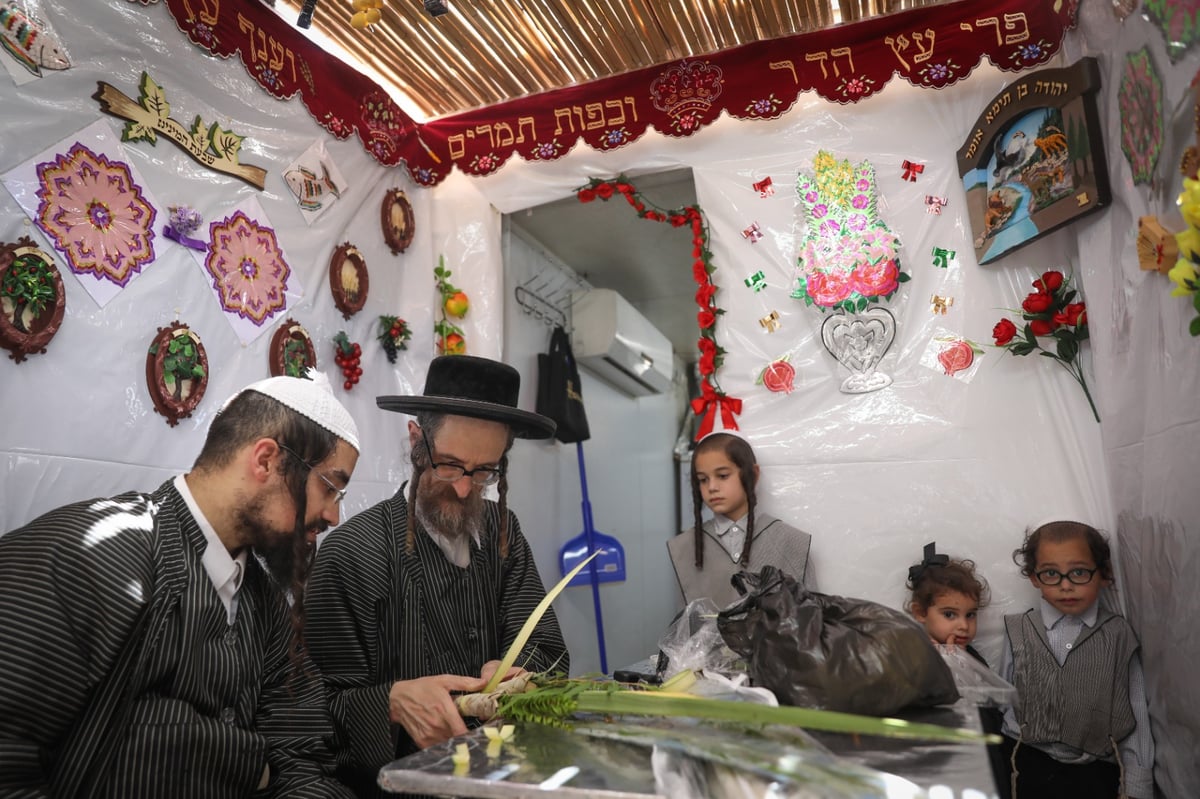 משפחה אחת, ארבעה מינים; צפו באגידת הלולב