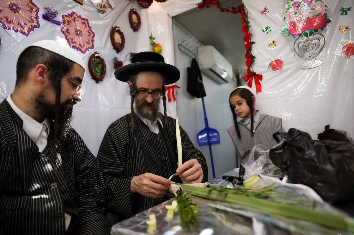 משפחה אחת, ארבעה מינים; צפו באגידת הלולב