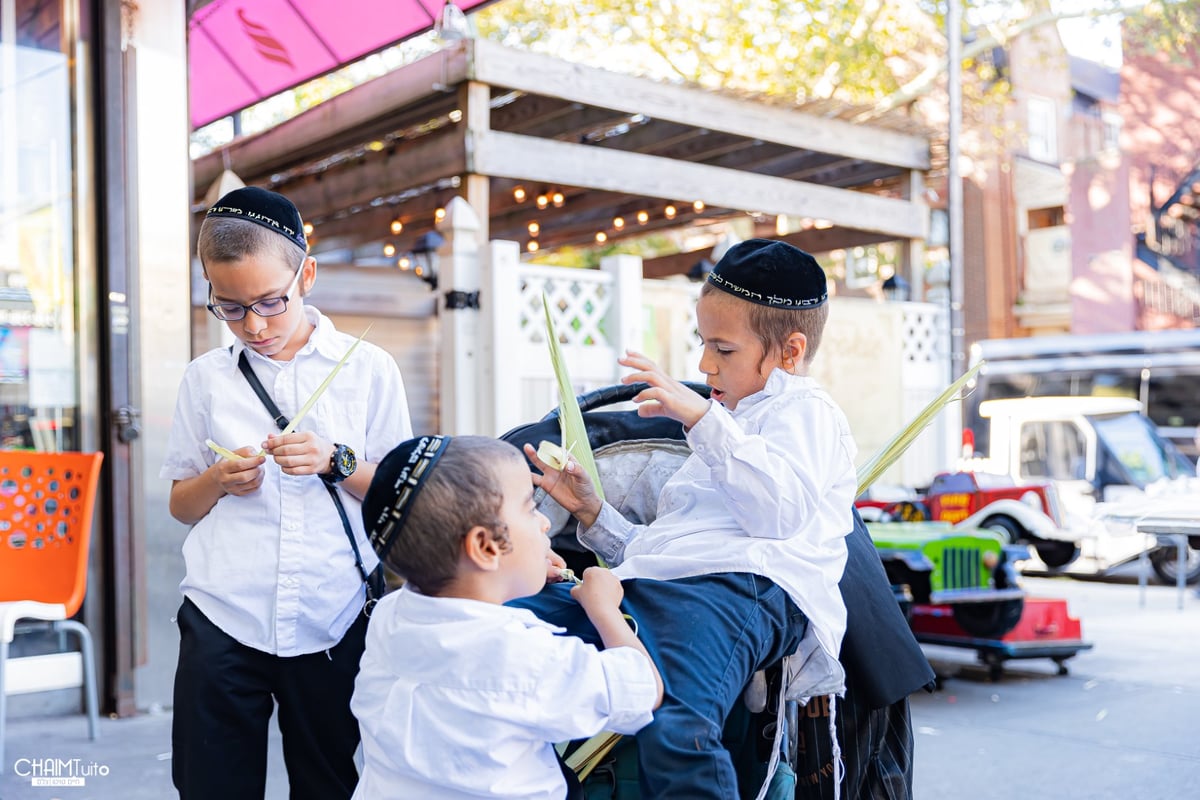 ערב סוכות ב'קראון הייטס'; 50 רגעים מרהיבים