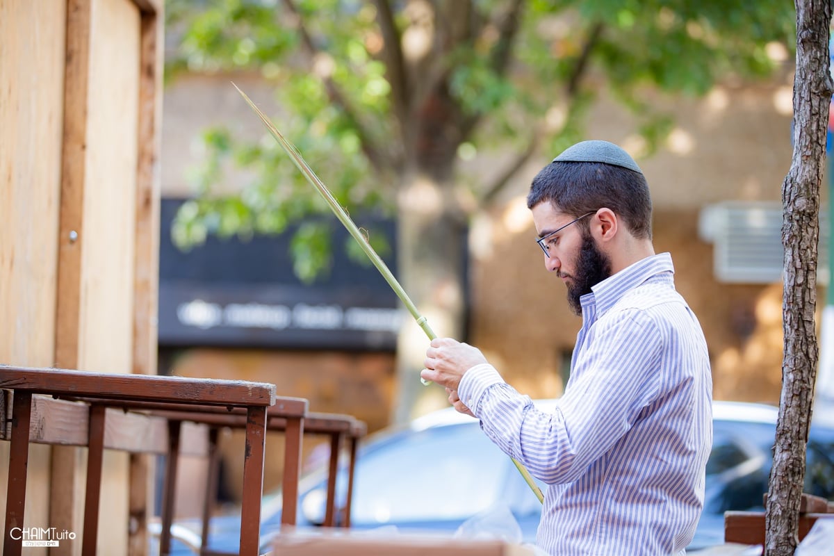 ערב סוכות ב'קראון הייטס'; 50 רגעים מרהיבים