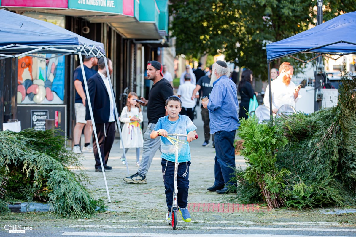 ערב סוכות ב'קראון הייטס'; 50 רגעים מרהיבים