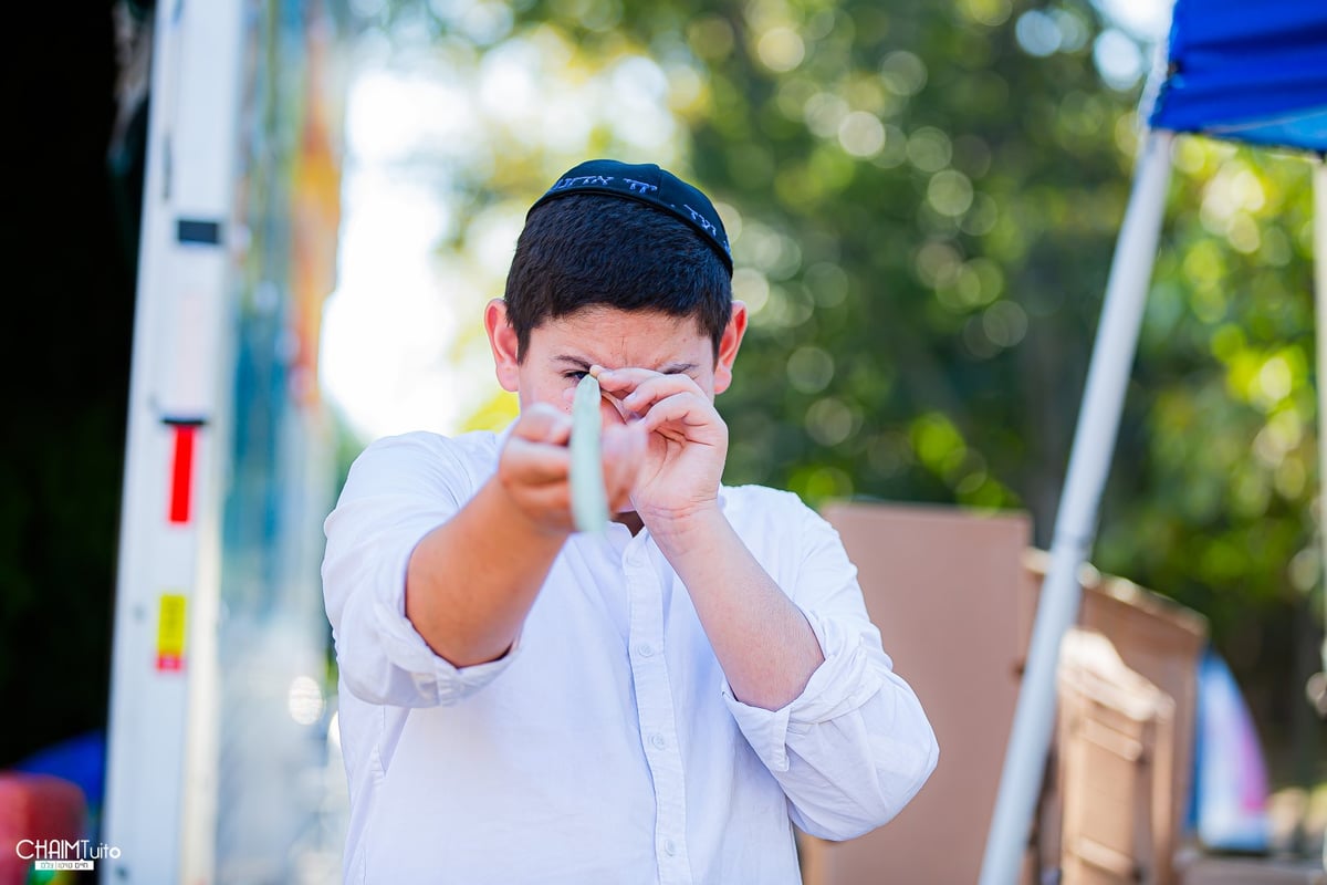 ערב סוכות ב'קראון הייטס'; 50 רגעים מרהיבים