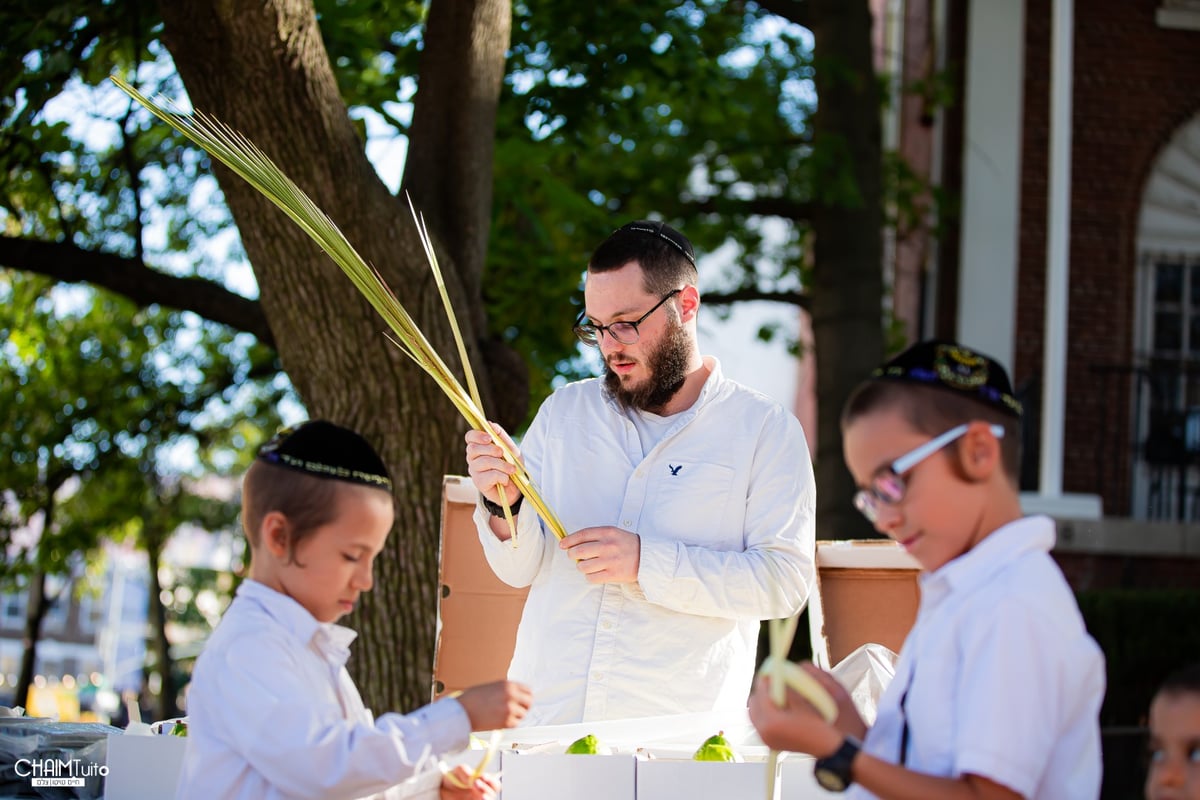 ערב סוכות ב'קראון הייטס'; 50 רגעים מרהיבים