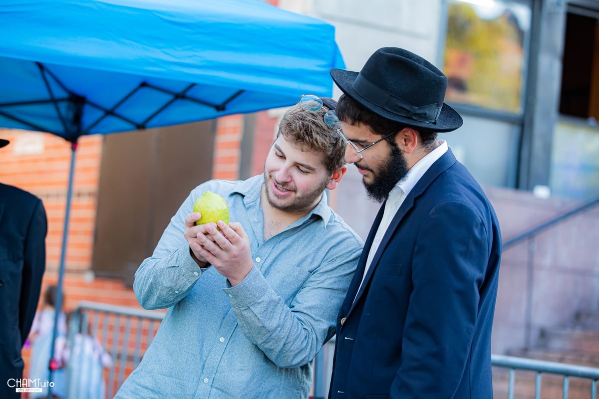 ערב סוכות ב'קראון הייטס'; 50 רגעים מרהיבים