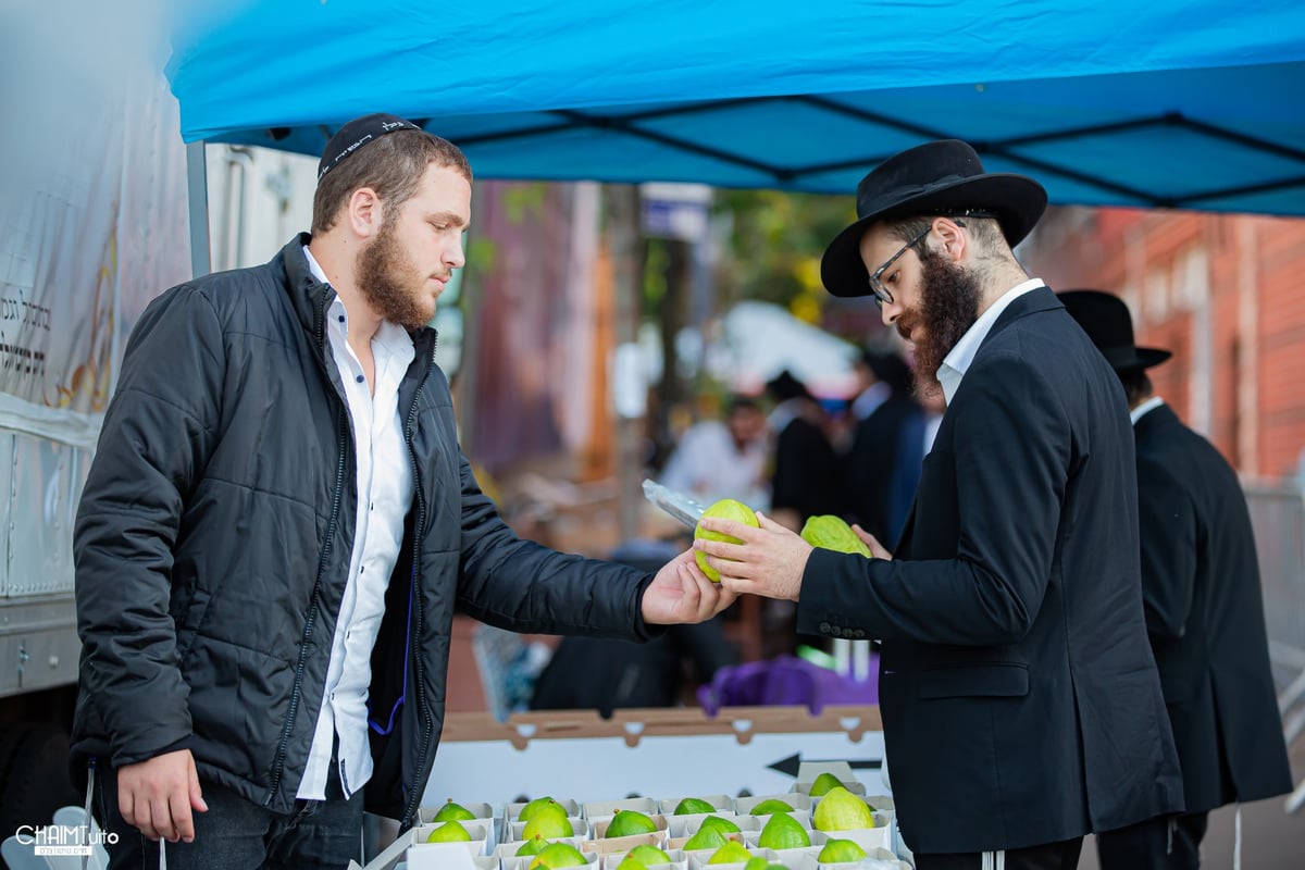 ערב סוכות ב'קראון הייטס'; 50 רגעים מרהיבים