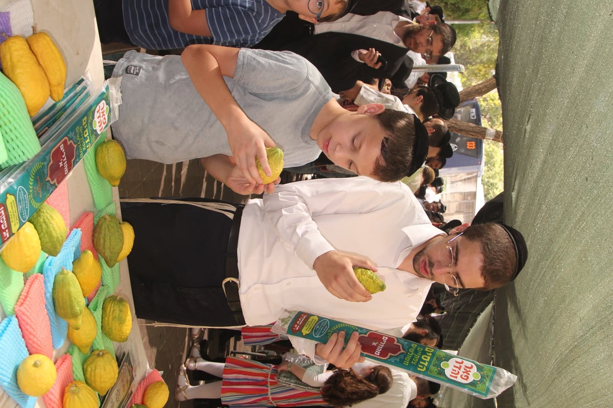 מודיעין עילית: ערב חג בשווקי ארבעת המינים