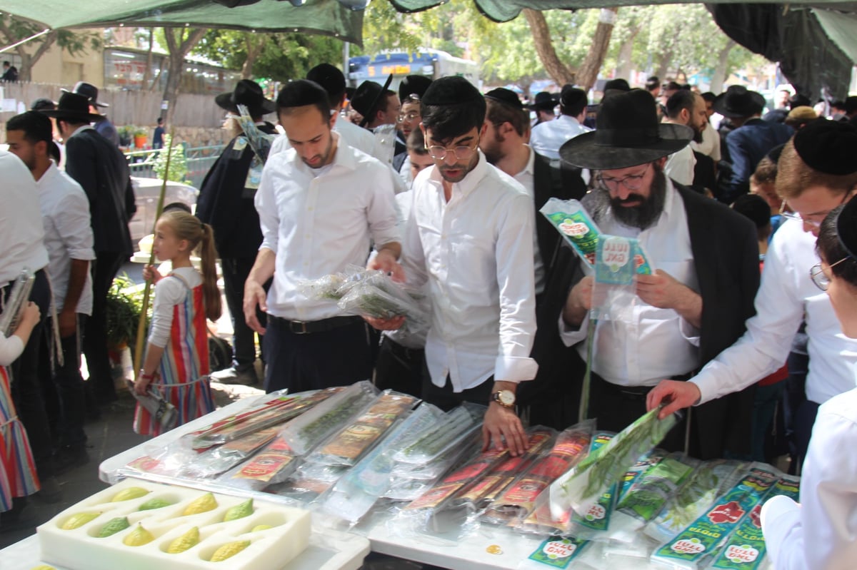 מודיעין עילית: ערב חג בשווקי ארבעת המינים