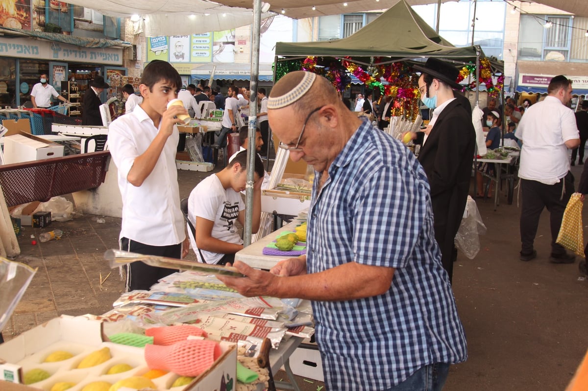 מודיעין עילית: ערב חג בשווקי ארבעת המינים