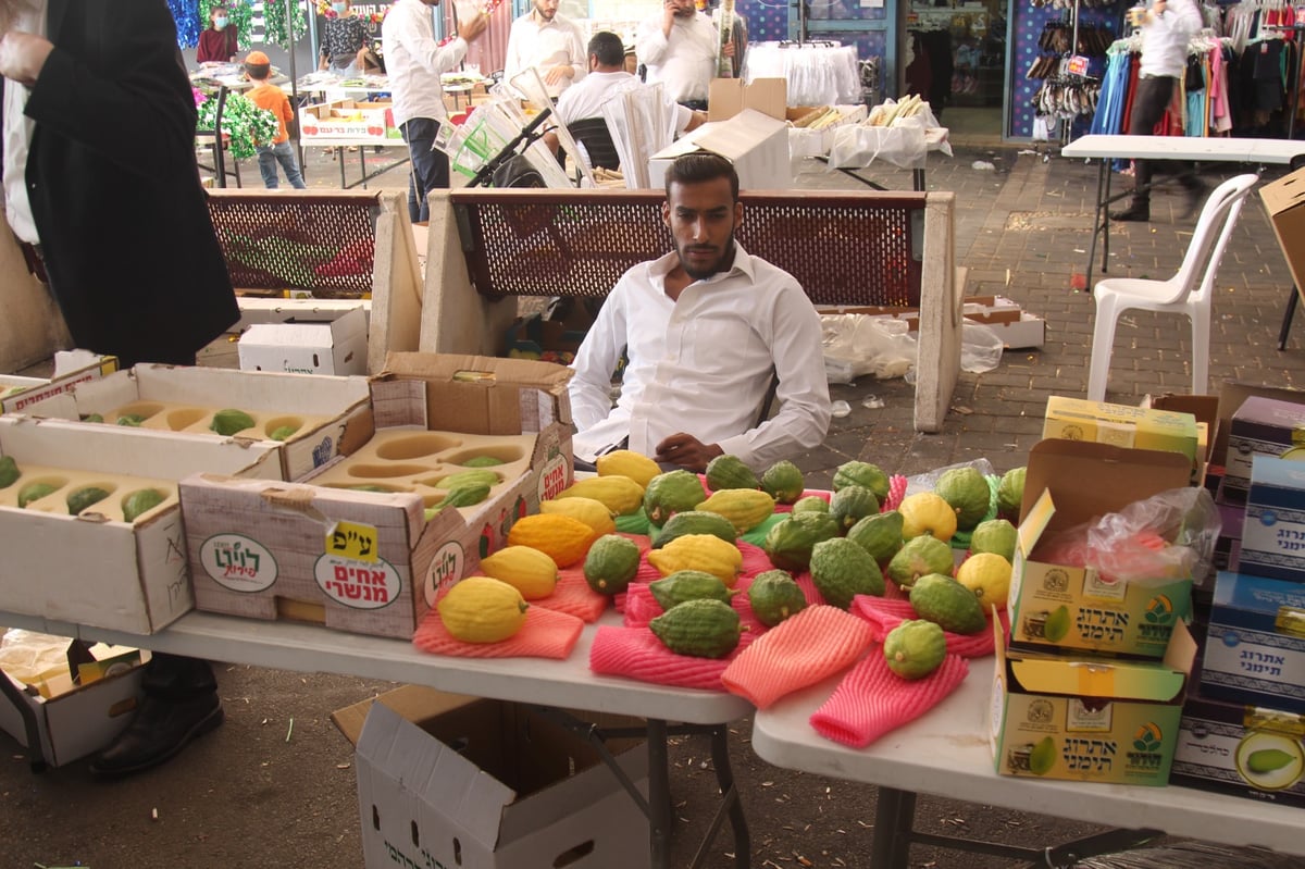 מודיעין עילית: ערב חג בשווקי ארבעת המינים