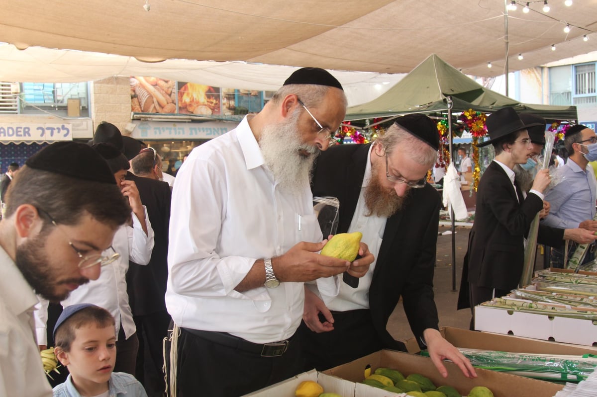 מודיעין עילית: ערב חג בשווקי ארבעת המינים