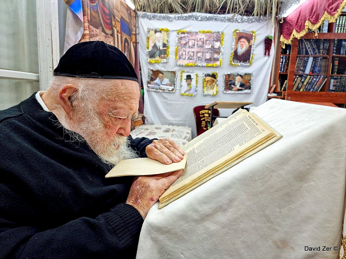 תיעוד: מרן שר התורה בלימוד בסוכת ביתו