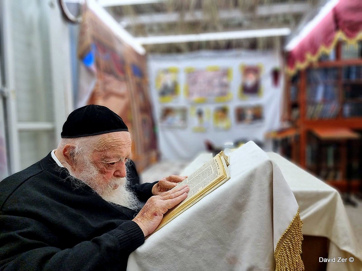 תיעוד: מרן שר התורה בלימוד בסוכת ביתו