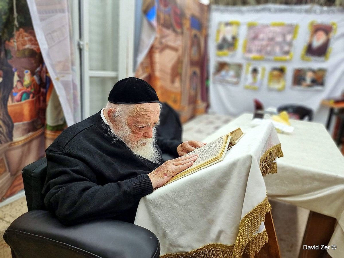 תיעוד: מרן שר התורה בלימוד בסוכת ביתו