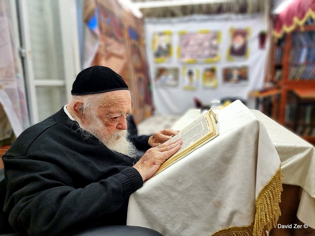 תיעוד: מרן שר התורה בלימוד בסוכת ביתו