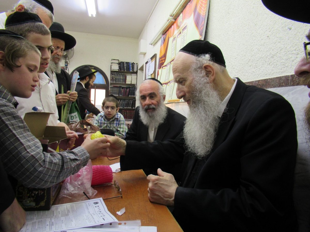 הפוסק הבני-ברקי בבדיקת ארבעת המינים • תיעוד