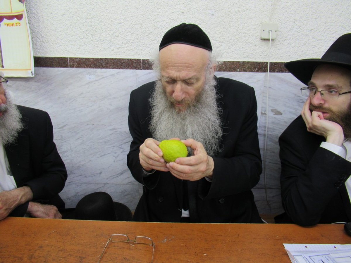 הפוסק הבני-ברקי בבדיקת ארבעת המינים • תיעוד