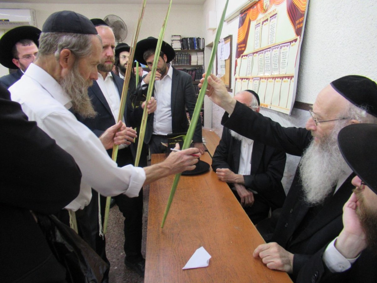 הפוסק הבני-ברקי בבדיקת ארבעת המינים • תיעוד