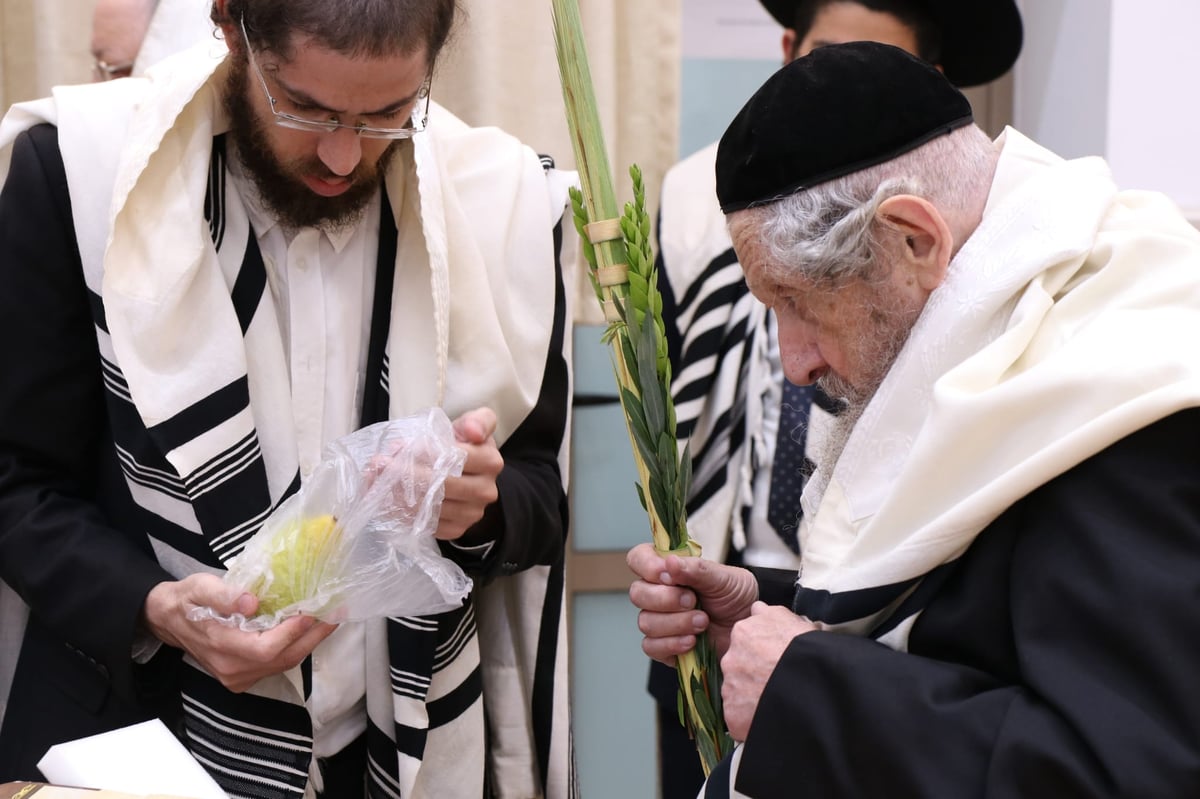 תיעוד: ראשי ישיבת סלבודקא בתפילת החג