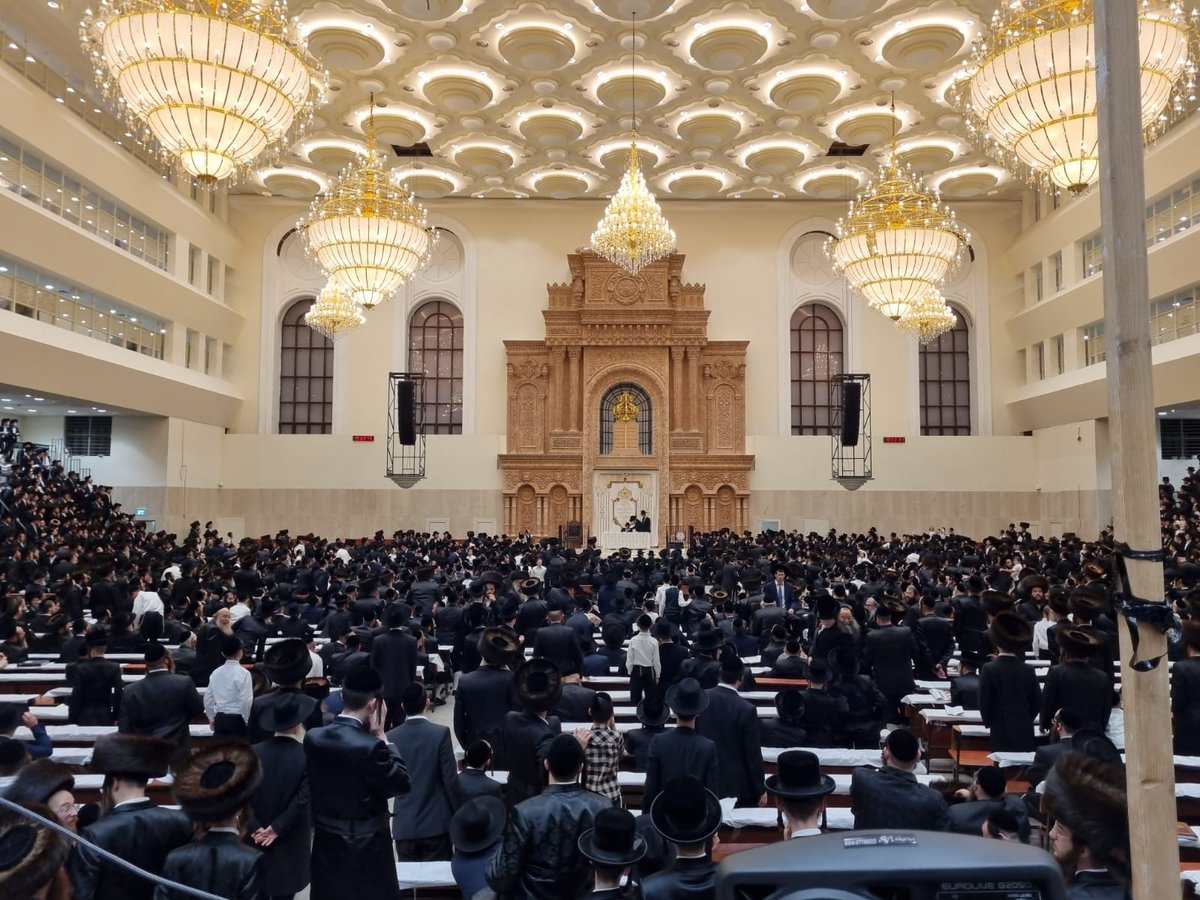 היסטוריה בויז'ניץ: רה"י בשיחת חג • צפו