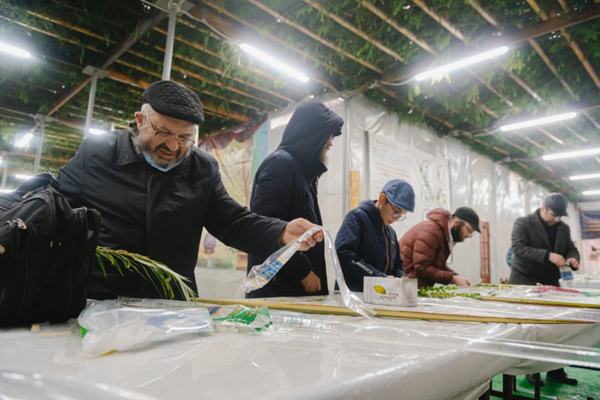 תחת גשם זלעפות: סוכות בבירת רוסיה • צפו